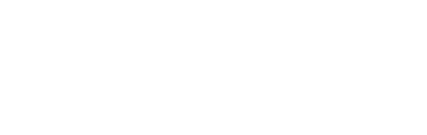Authenticity and Modernity Party logo